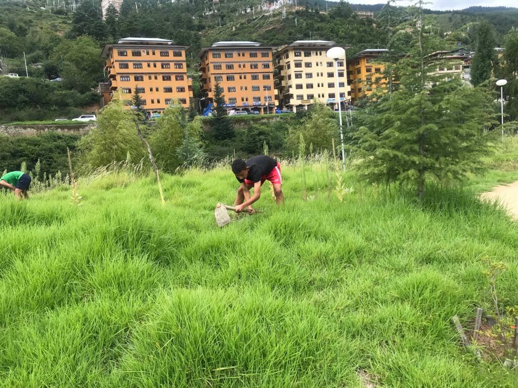 MASS CLEANING CAMPAIGN